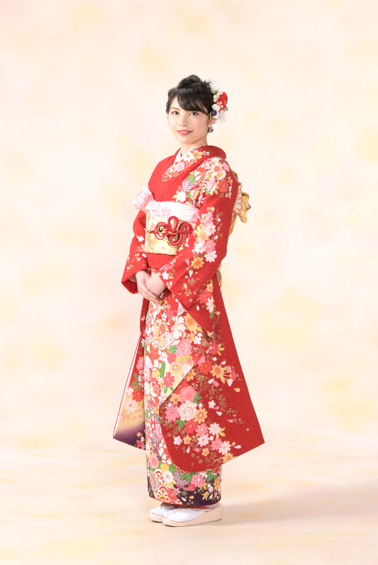 振袖衣裳画像1